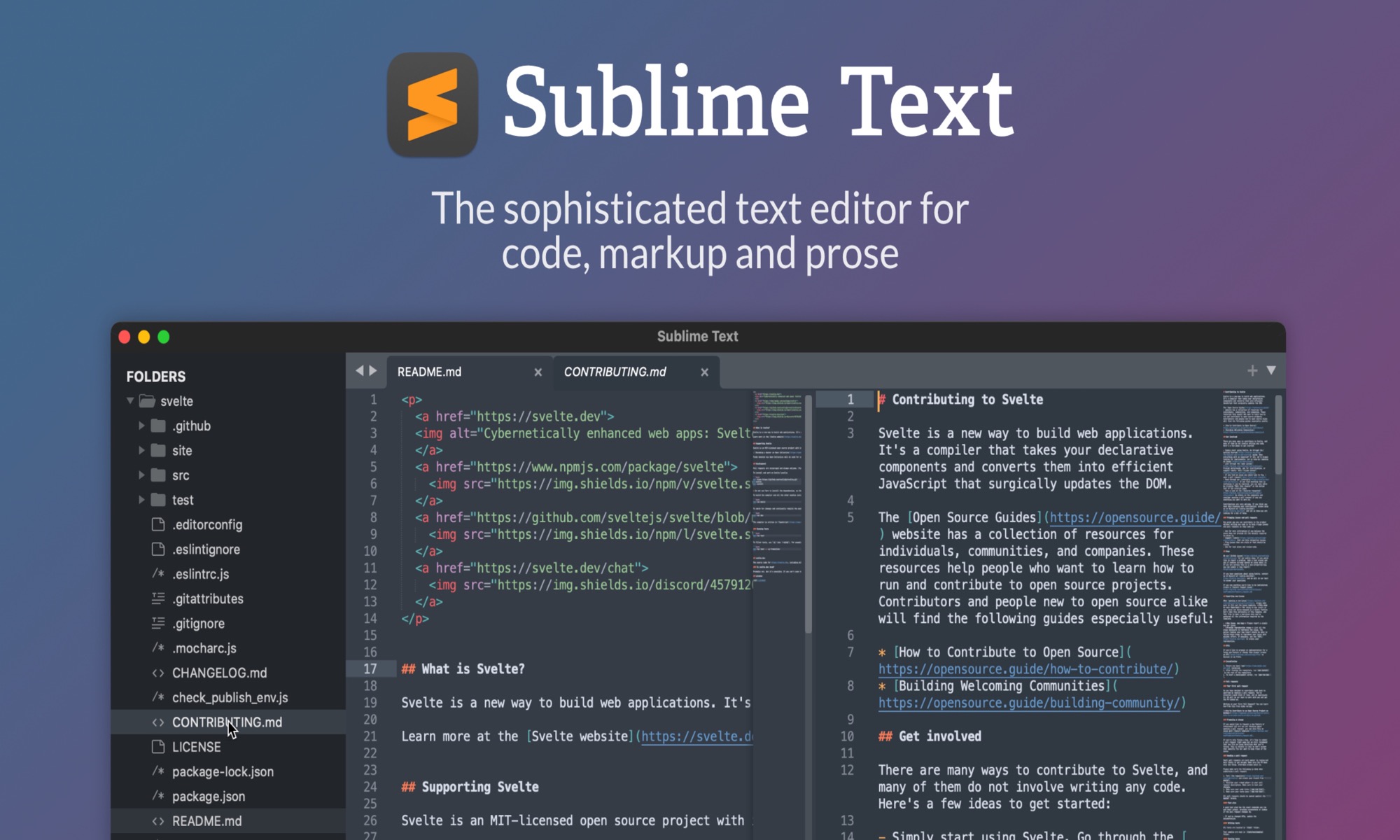 sublime text interface