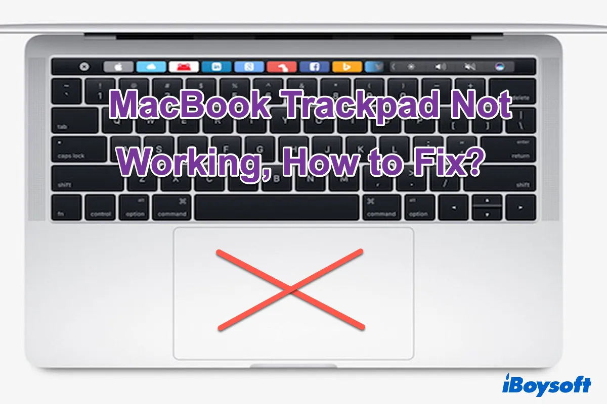 MacBook trackpad not working