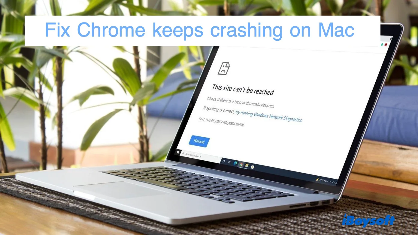 fix Chrome keeps crashing on Mac