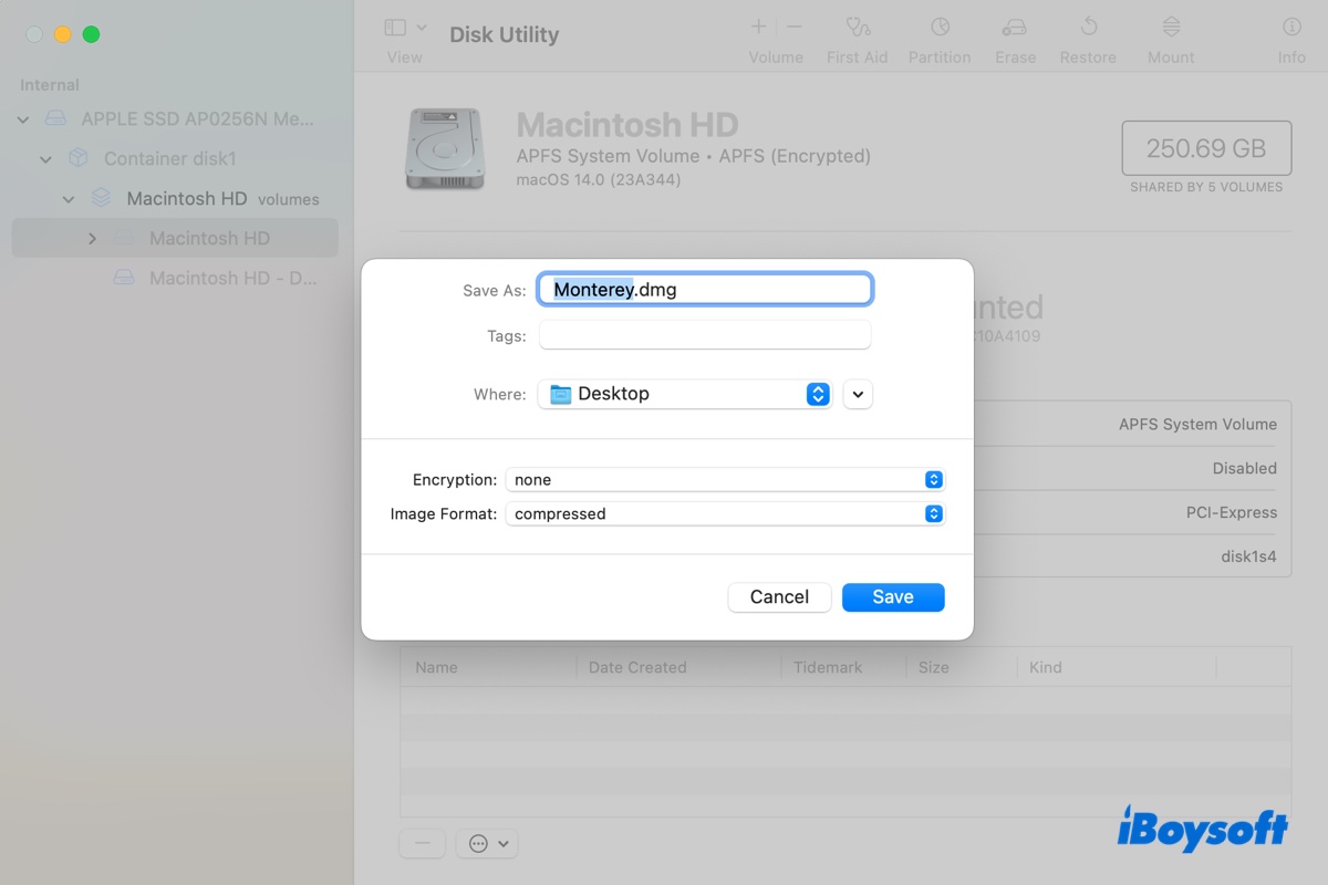 Erstellen Sie die macOS Monterey DMG-Datei im Festplattendienstprogramm
