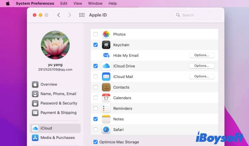 remove files from iCloud on Mac