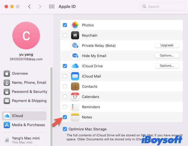 enable iCloud for Notes on Mac