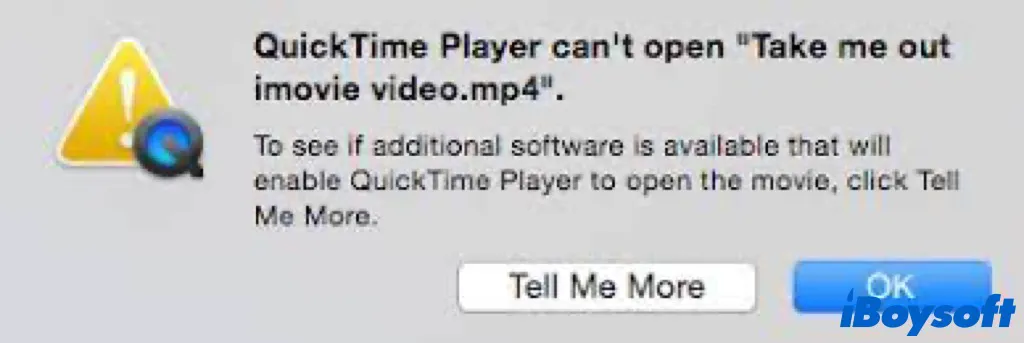 quicktime player cant open video
