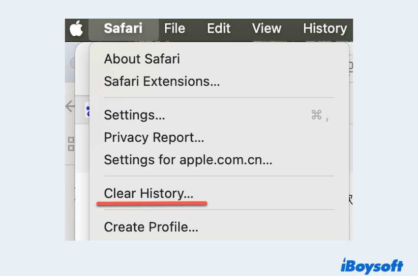 Clear Safari history