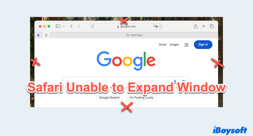 How to Fix Safari Can