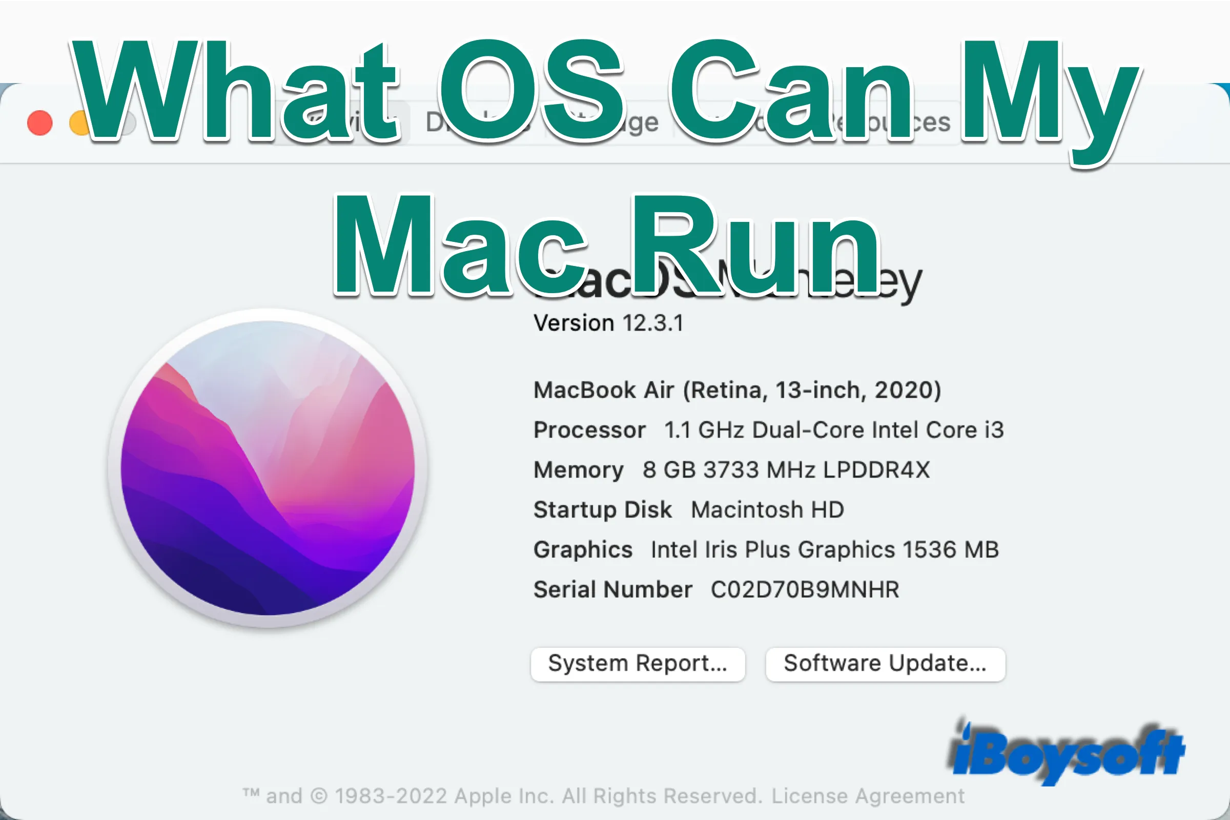 instal the new version for mac Gone Viral