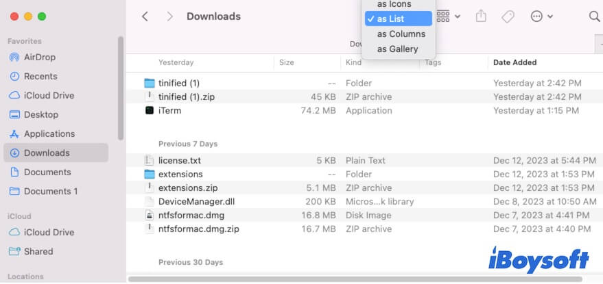 show items as list in the Downloads folder on Mac