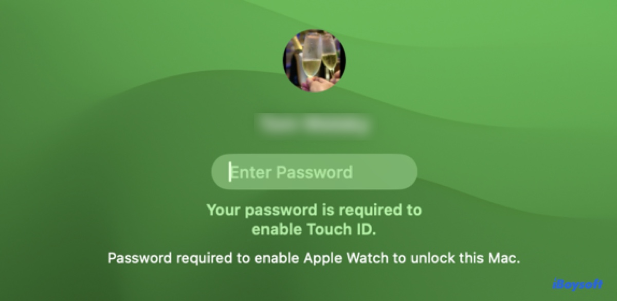 Your password is required to enable Touch ID on MacBook Pro or MacBook Air