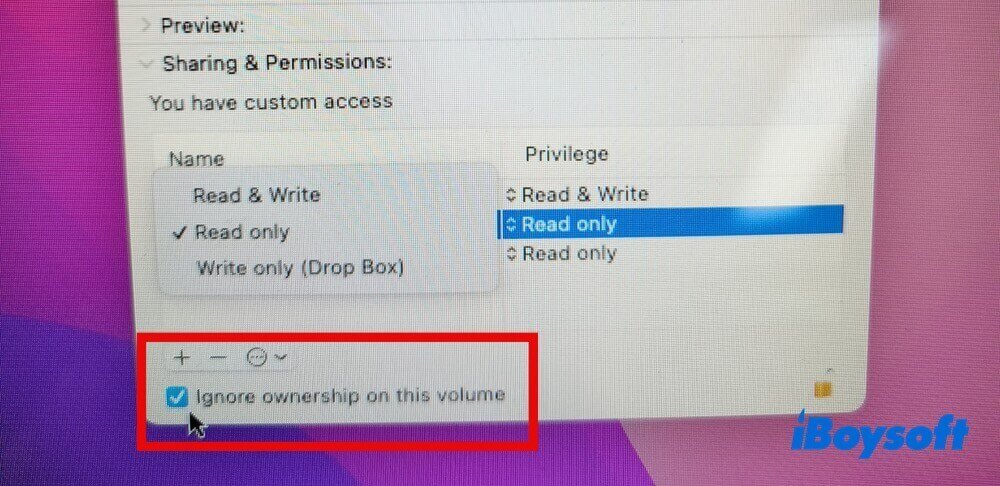 Ignore ownership on this volume