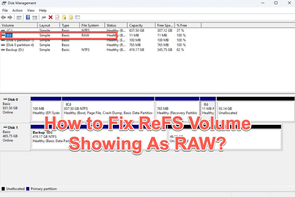 Volumen ReFS mostrado como RAW
