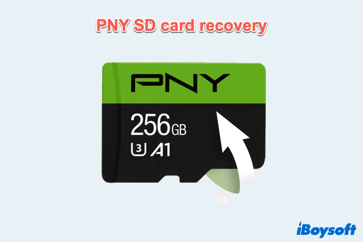 PNY SD card recovery