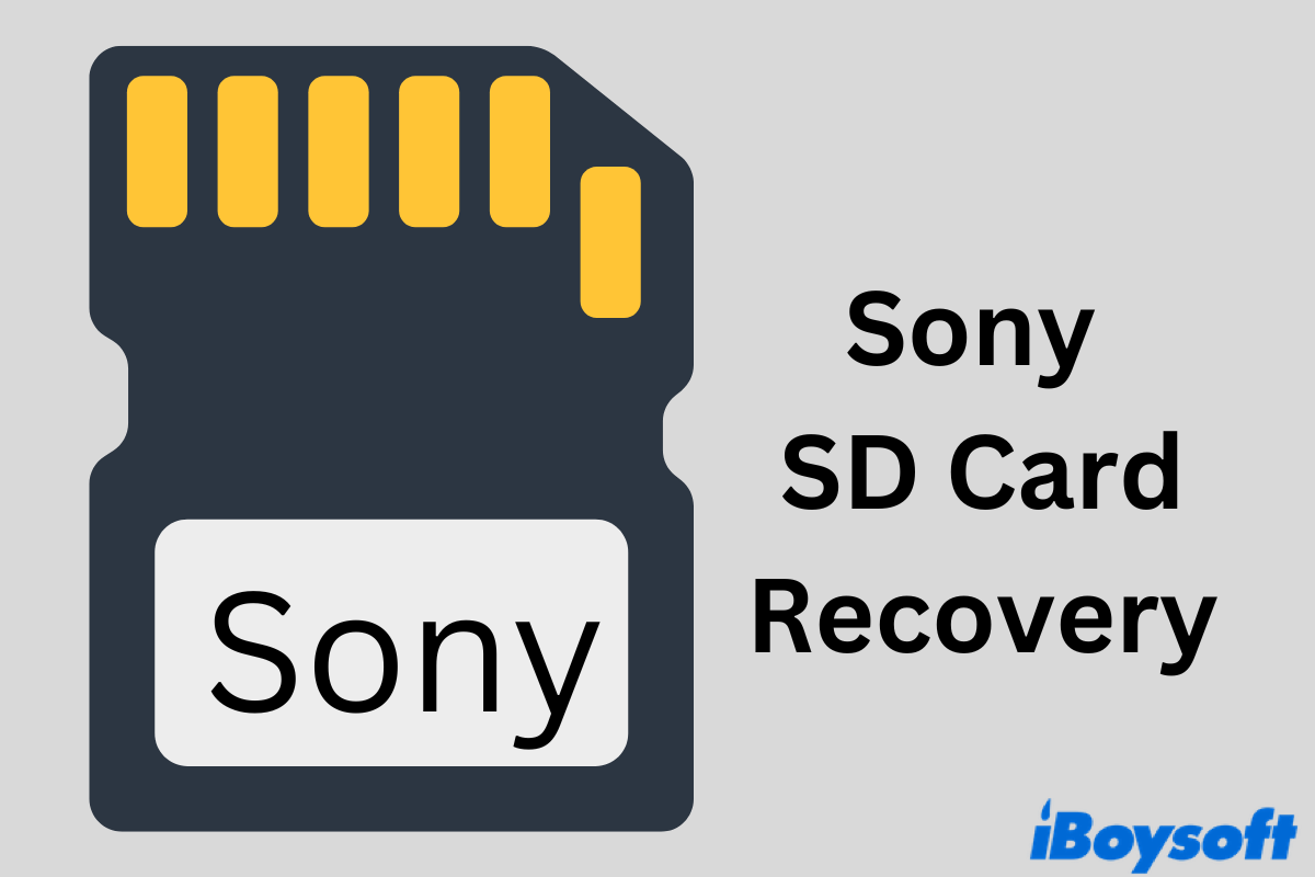 Sony SD card recovery
