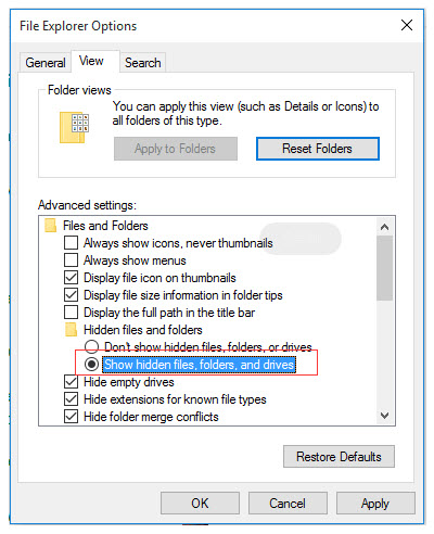 Change File Explorer settings to show the hidden items