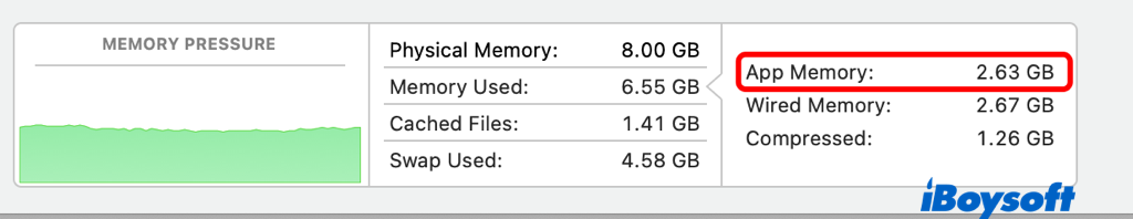 check application memory on mac