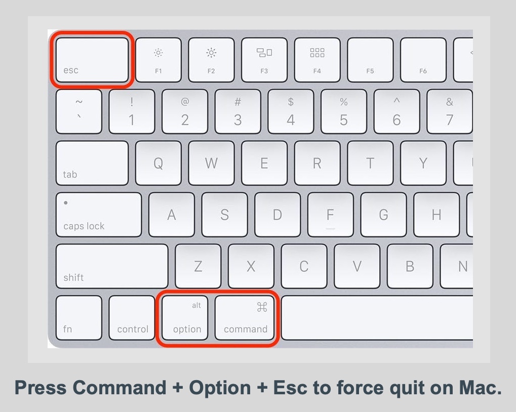 use Command Option Esc to force quit applications