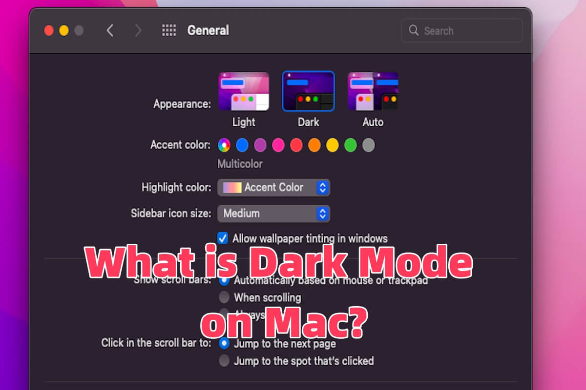 summary-dark-mode-on-mac