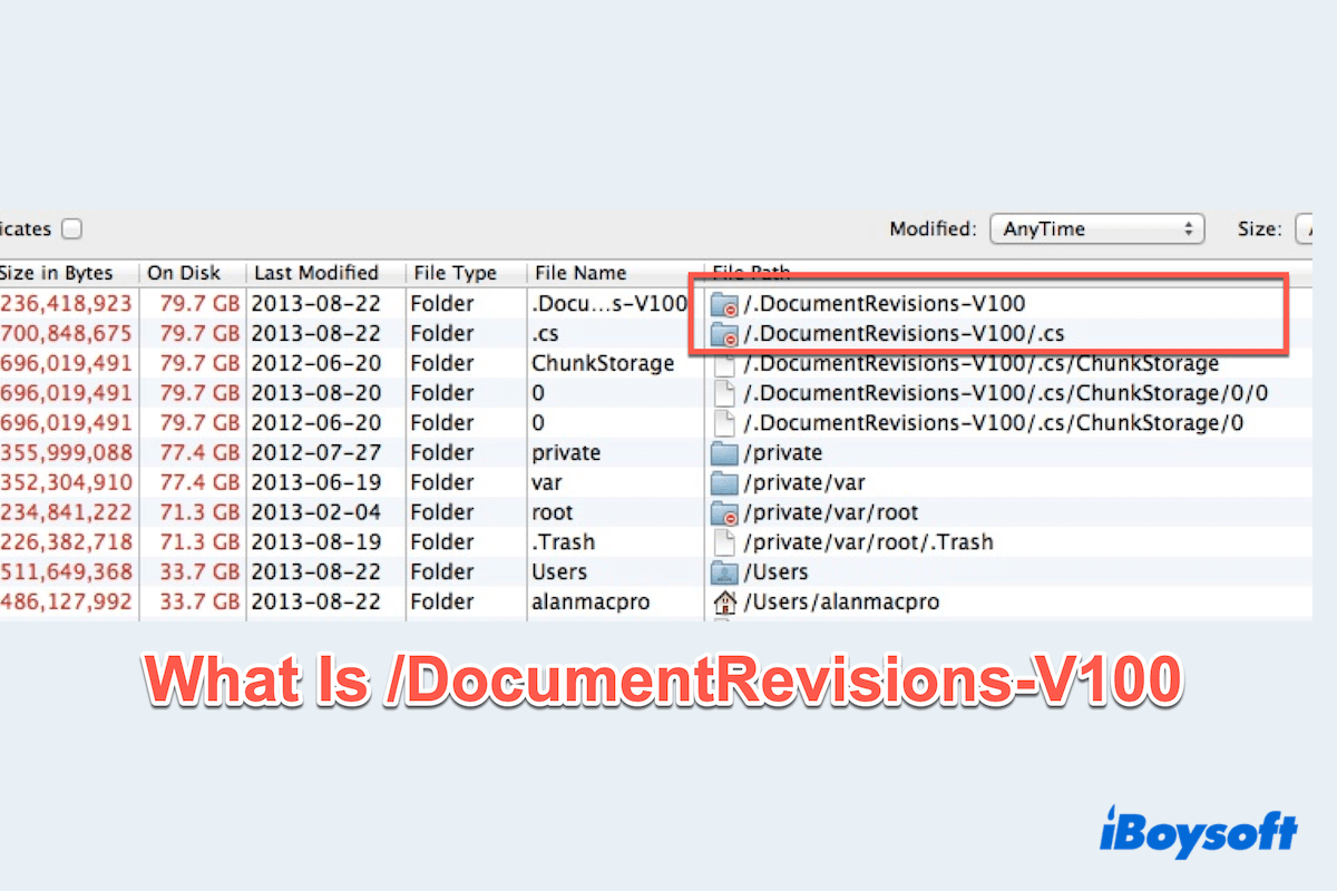 What is DocumentRevisions-V100