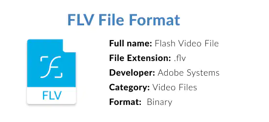 What is an FLV file