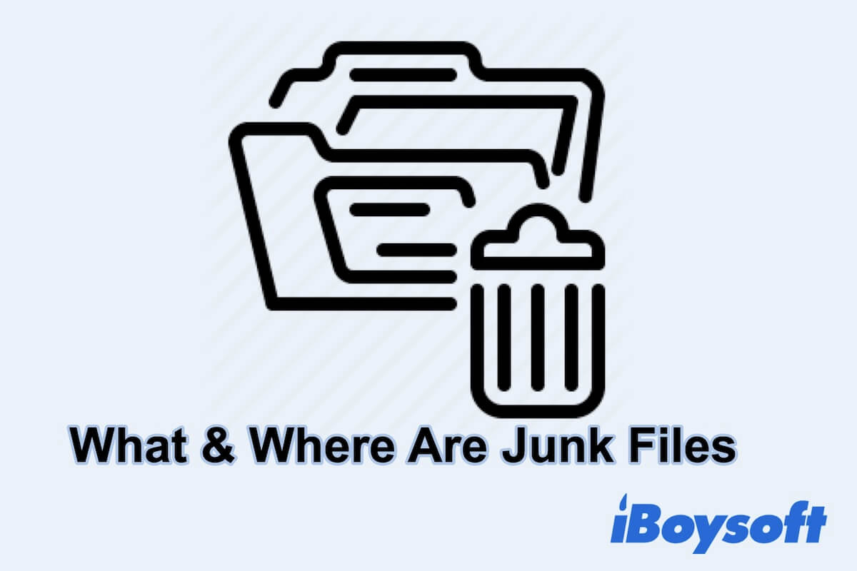 what are junk files
