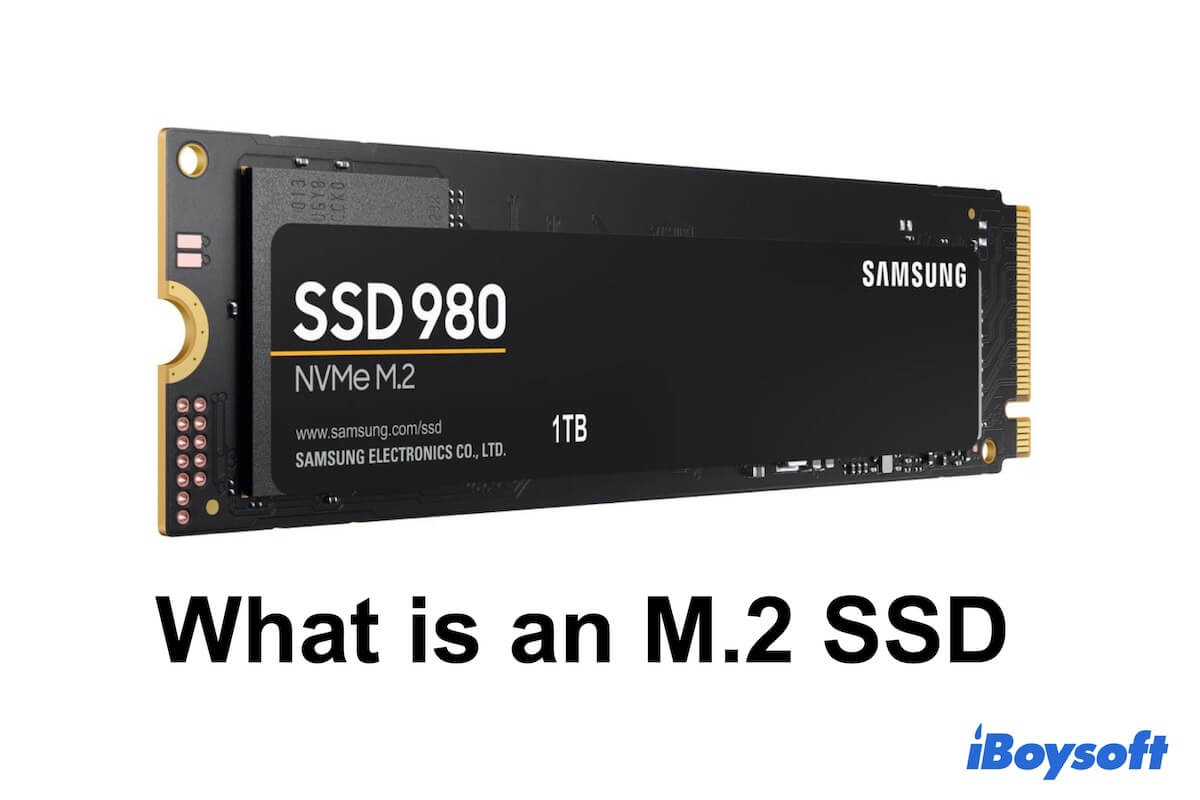 Alice Flock desinficere M.2 SSD Overview: What is M.2 SSD & M.2 SSD VS SSD
