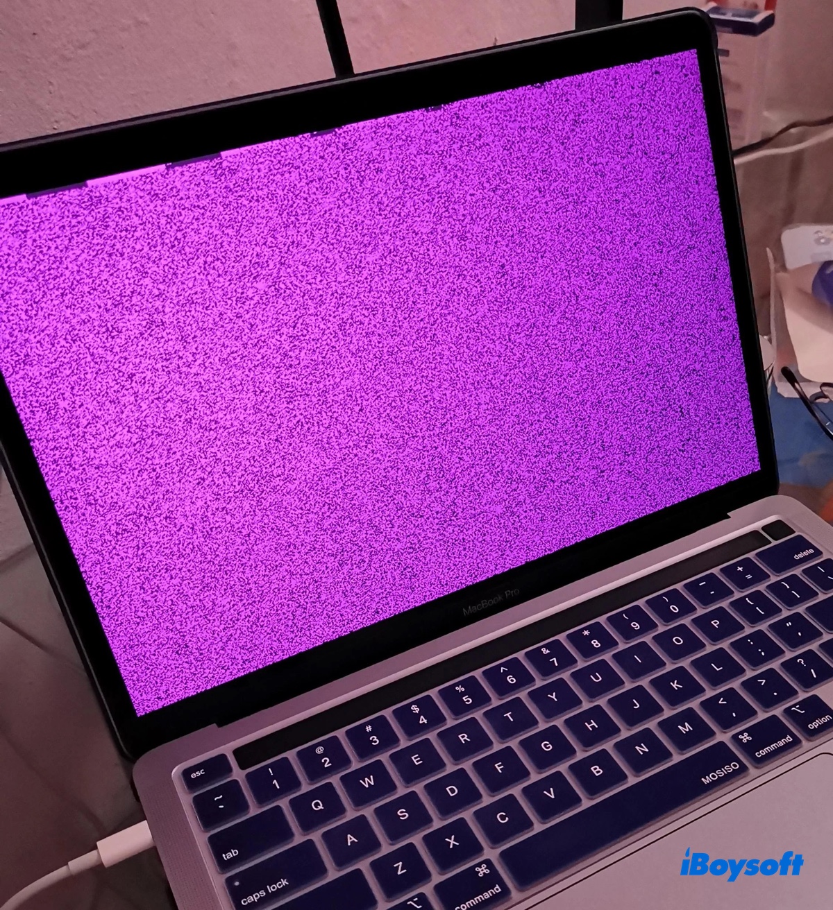 Mac purple screen of death