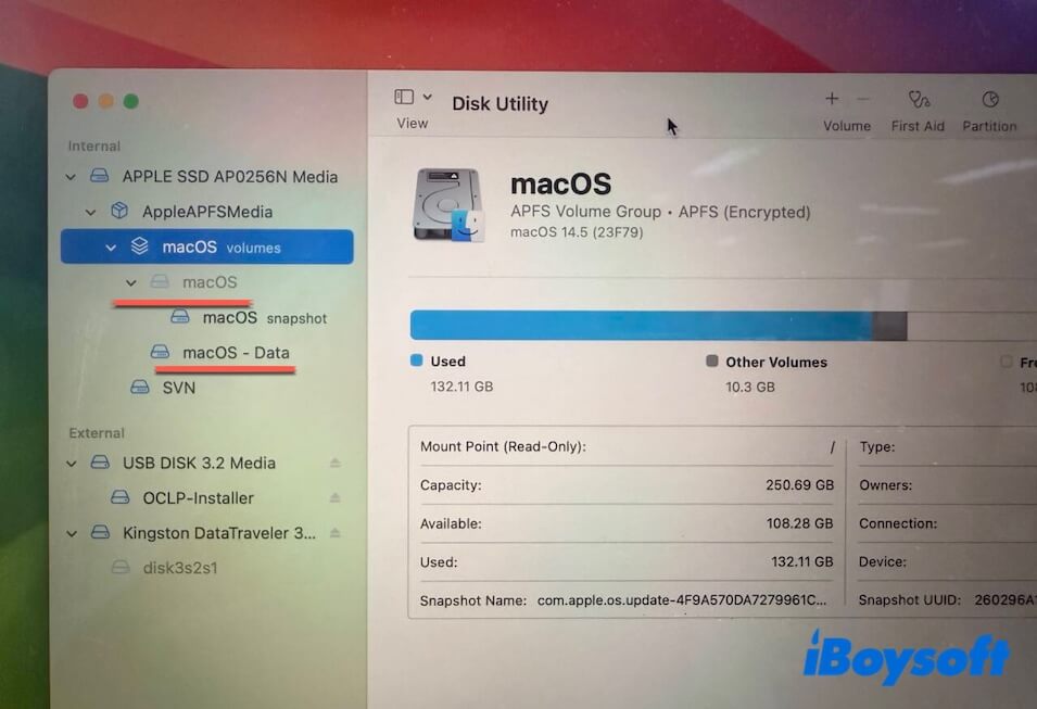 Volúmenes de Macintosh