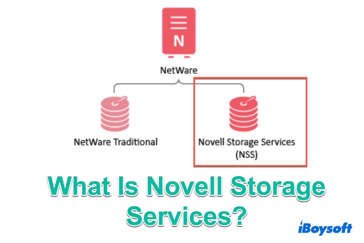 What is Novell Storage Services?