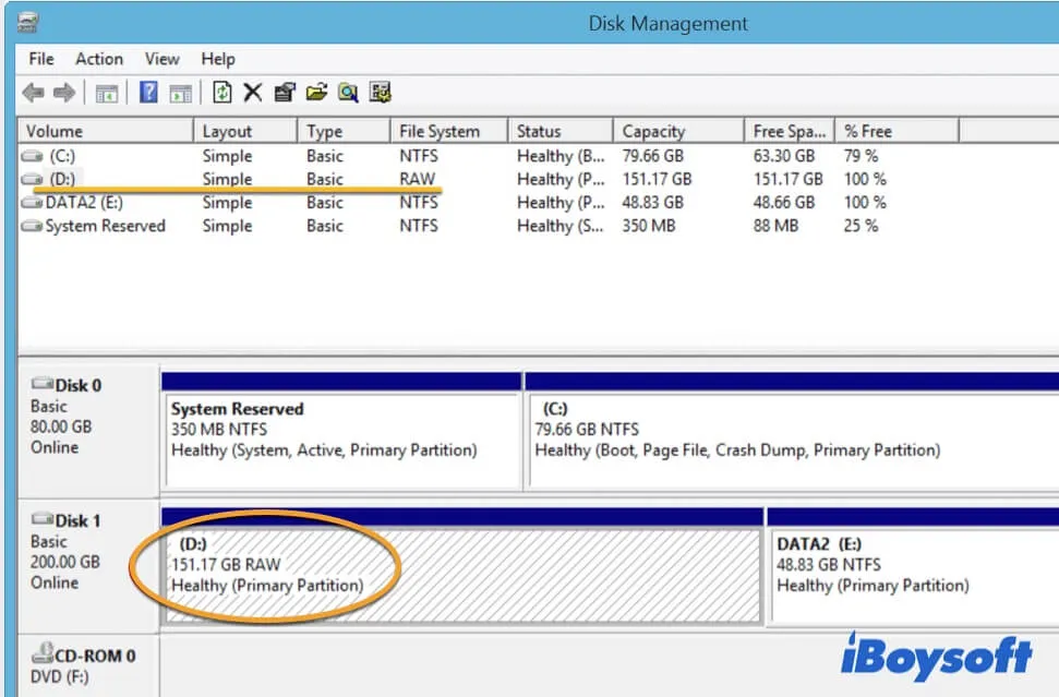 The RAW file system is shown in Disk Management