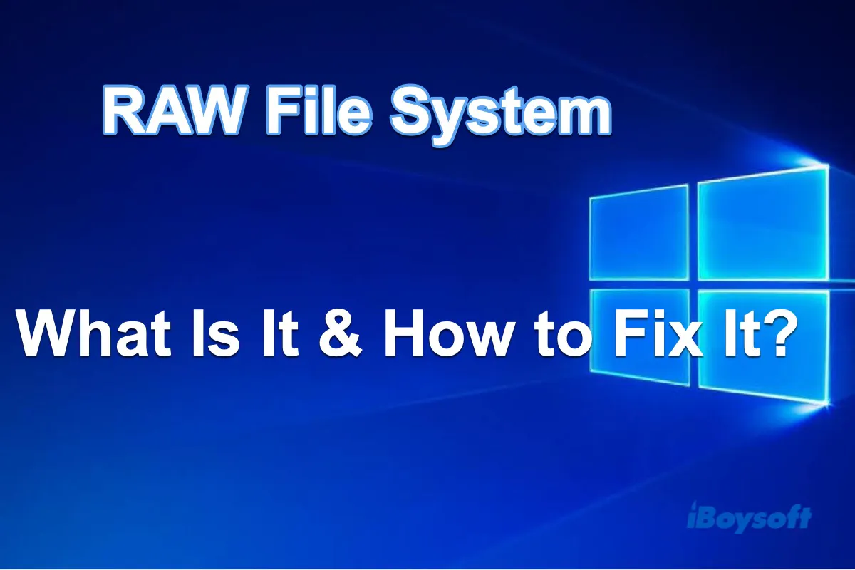 RAW file system