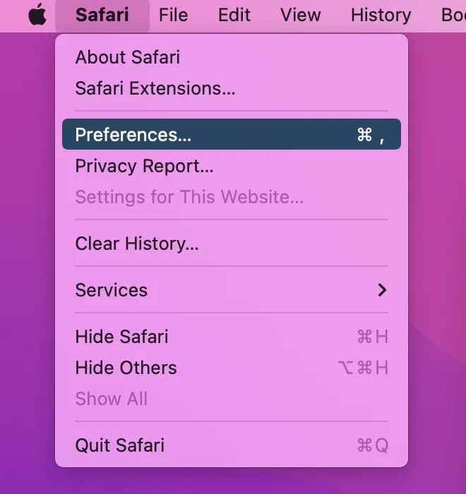 Safari settings