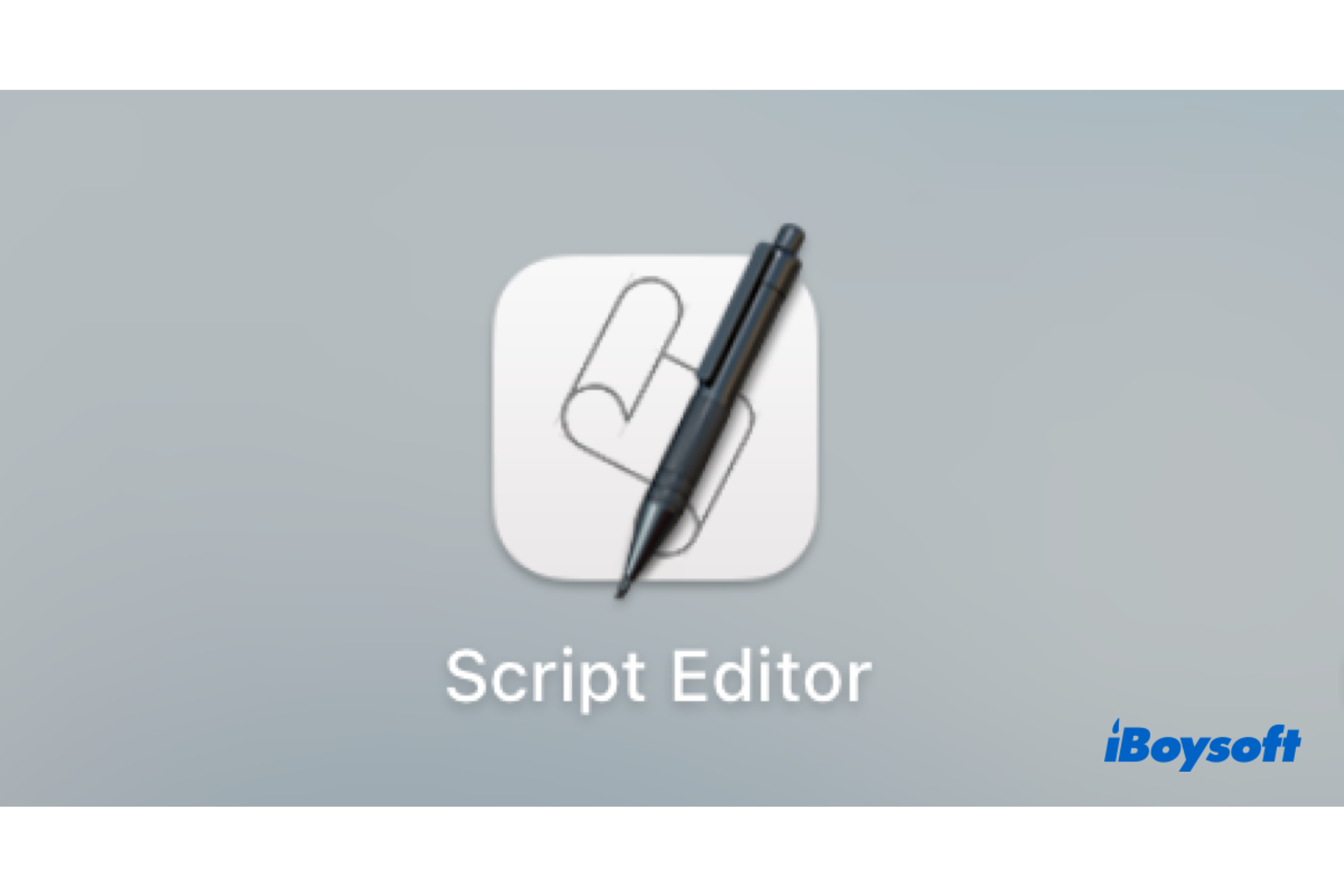 Script editor