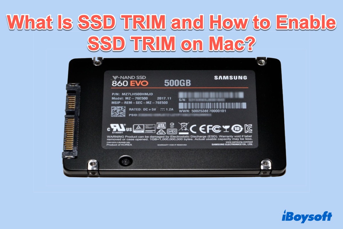 SSD TRIM: What Is SSD TRIM and How to Enable SSD Mac?