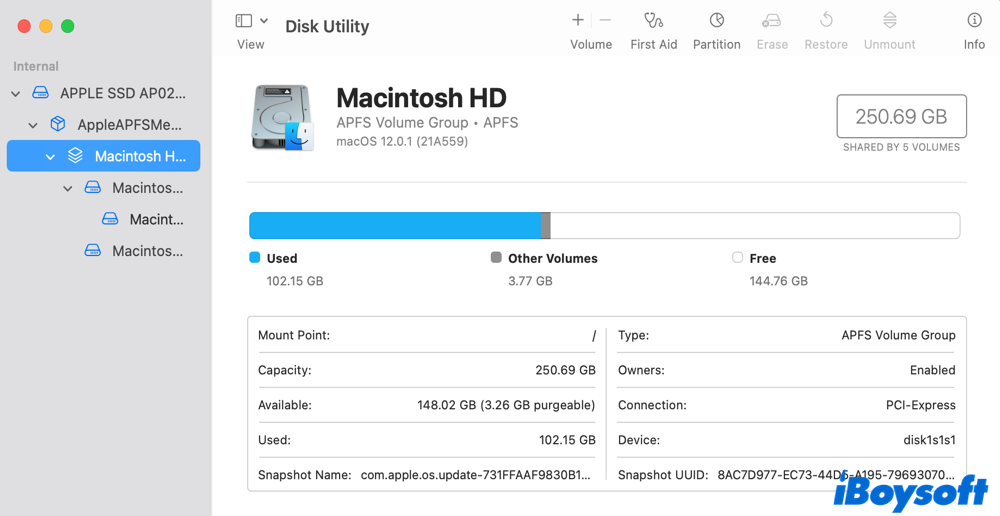 check Mac storage in Disk Utility