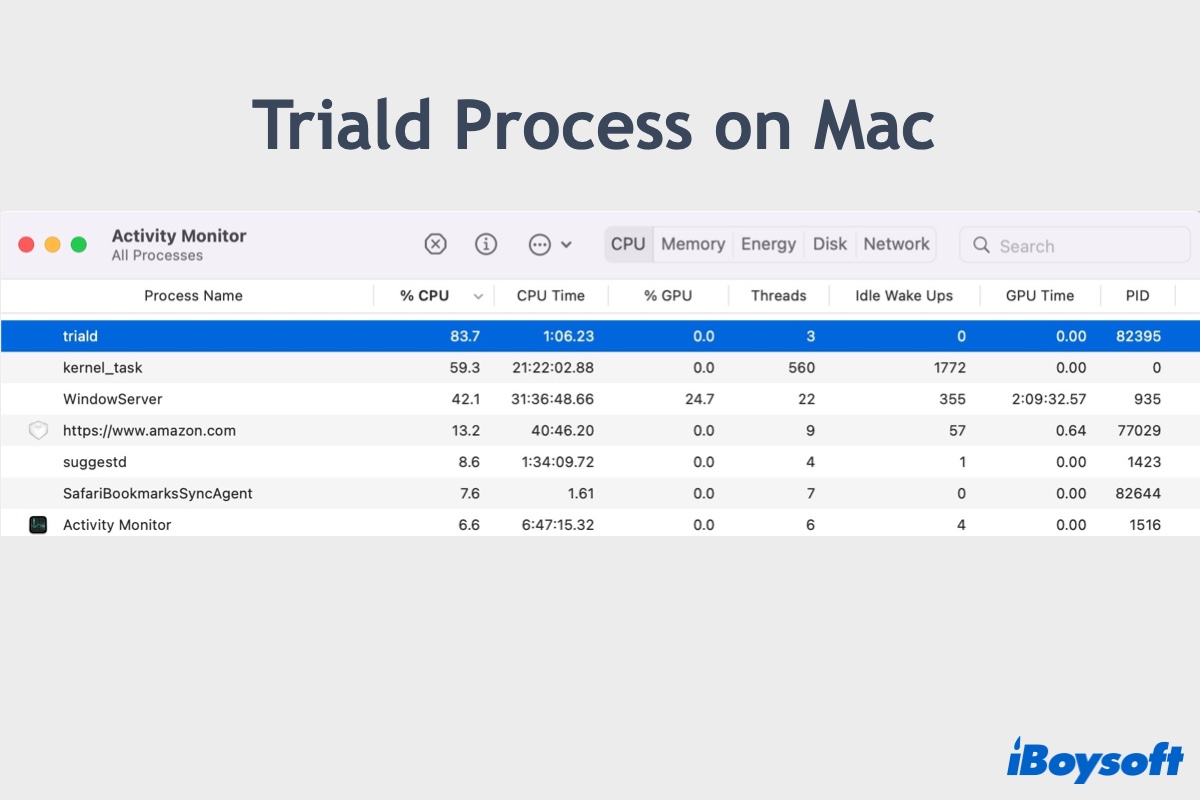 Triald process on Mac