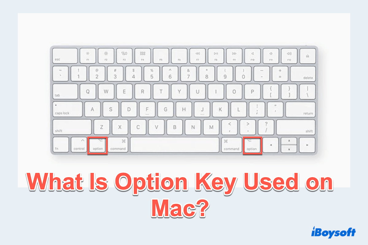 What is Option key used for on Mac?