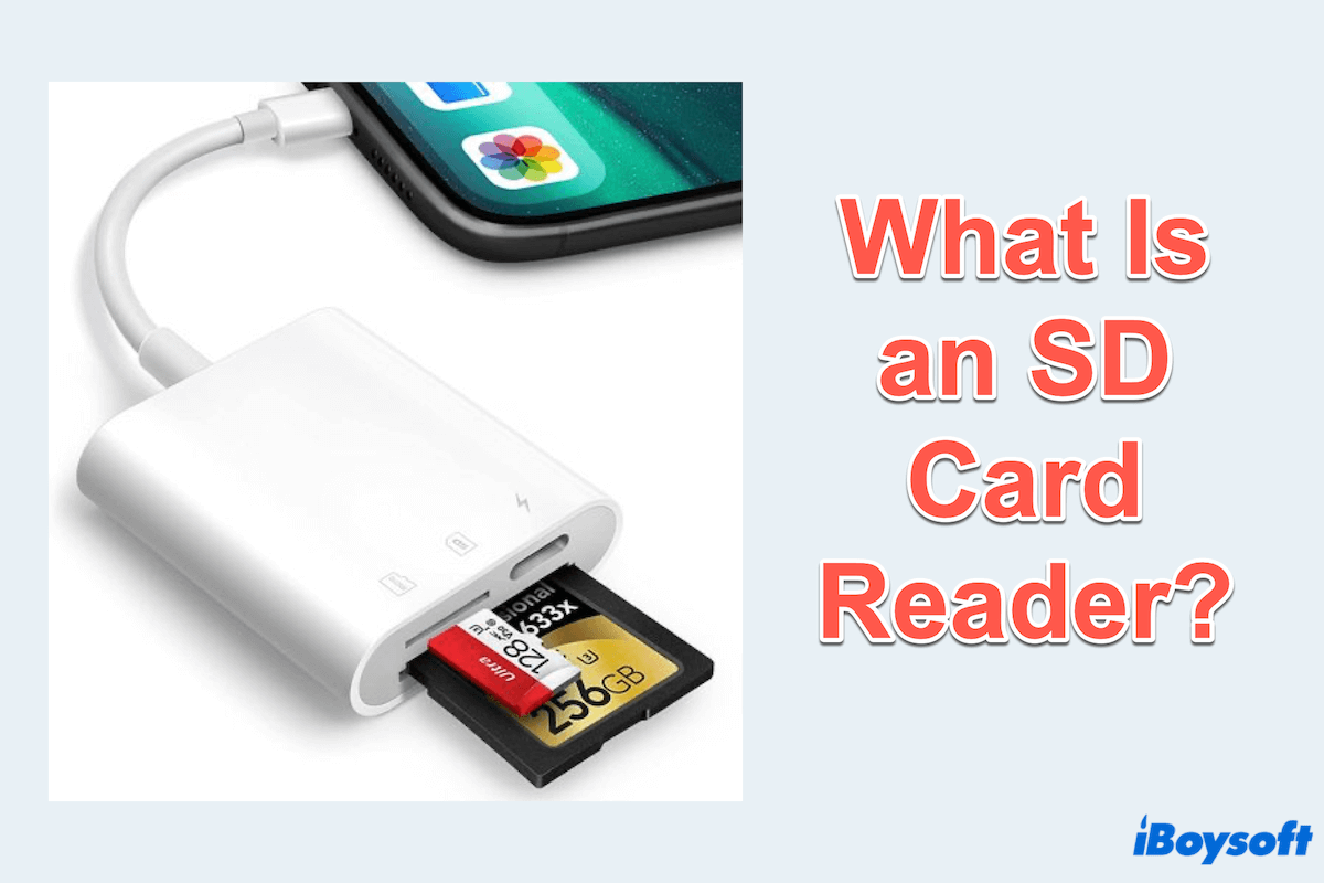 What Is an SD Card Reader?