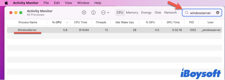 WindowServer on Mac in Activity Monitor