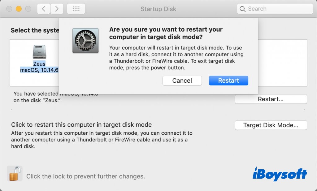 boot into target disk mode