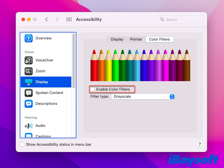 Activer les filtres de couleur sur Mac pour corriger les lignes vertes