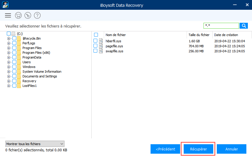 Récupérer les données depuis une carte SD avec iBoysoft Data Recovery