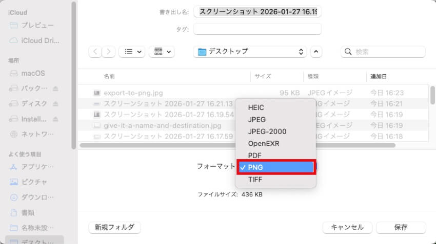 ファイルフォーマット