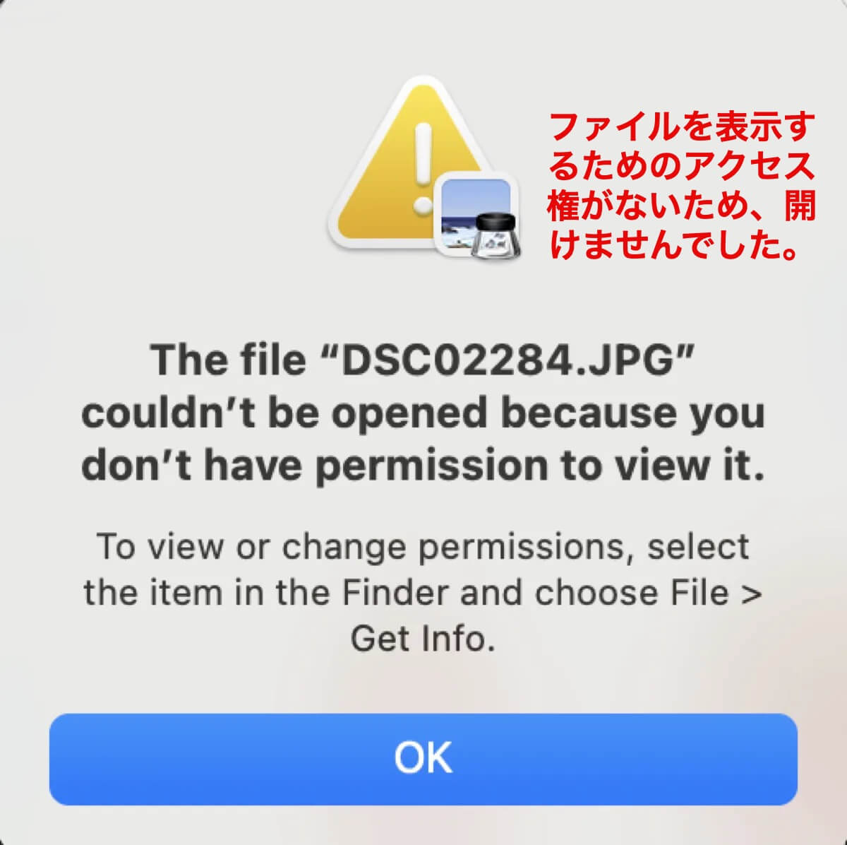 ファイルを表示するためのアクセス権がないため、開けませんでした。