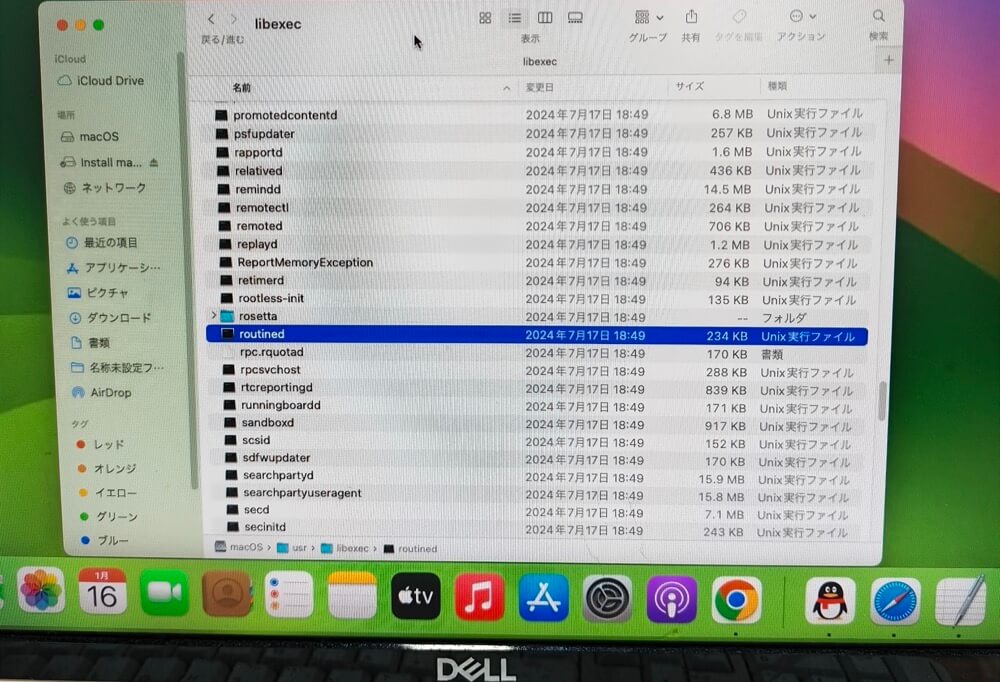 routinedフォルダ