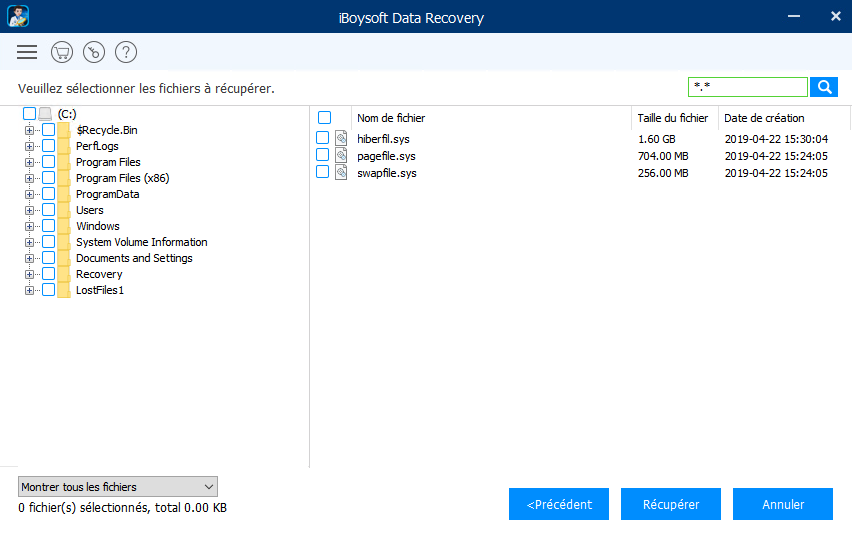 Récupérer les données provenant d'une carte mémoire SD corrompue/illisible avec iBoysoft Data Recovery