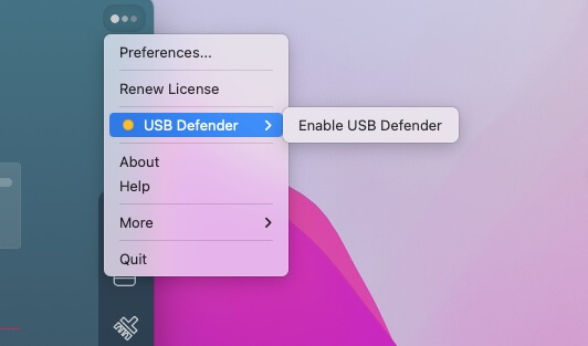 enable USB Defender