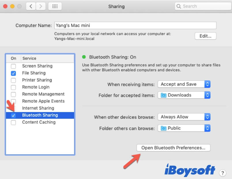Check in Bluetooth Sharing in File Sharing