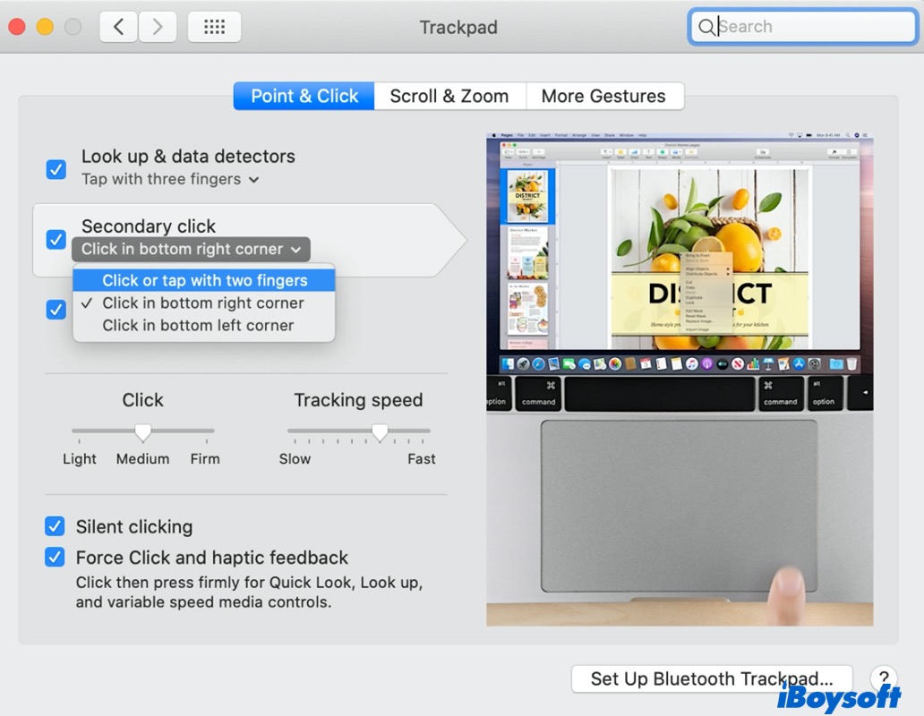 Fix MacBook Pro Trackpad Not Working (Step-by-Step)