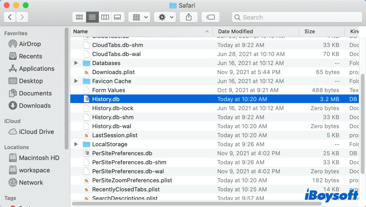 find Safari history.db file on Mac