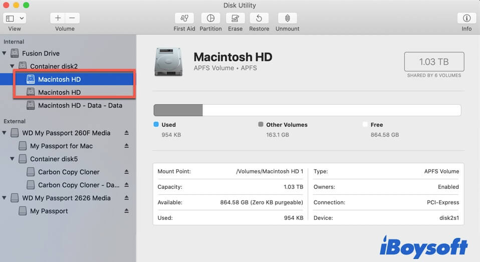 Two Macintosh HD show up in Disk Utility