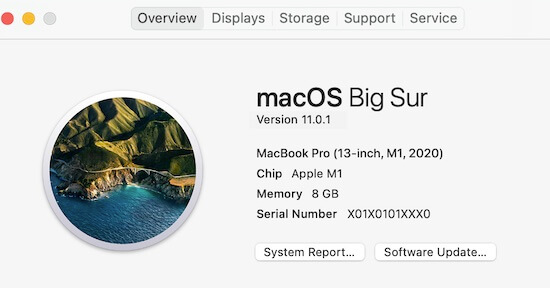 Which Macs use Apple silicon